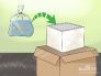 如何包装和运输活鱼 (4)